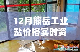 熊岳工业盐实时价格资讯，掌握最新市场动态，洞悉价格动态变化