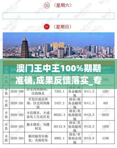 澳门王中王100%期期准确,成果反馈落实_专属版8.345