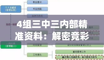 4组三中三内部精准资料：解密竞彩内幕与高效策略