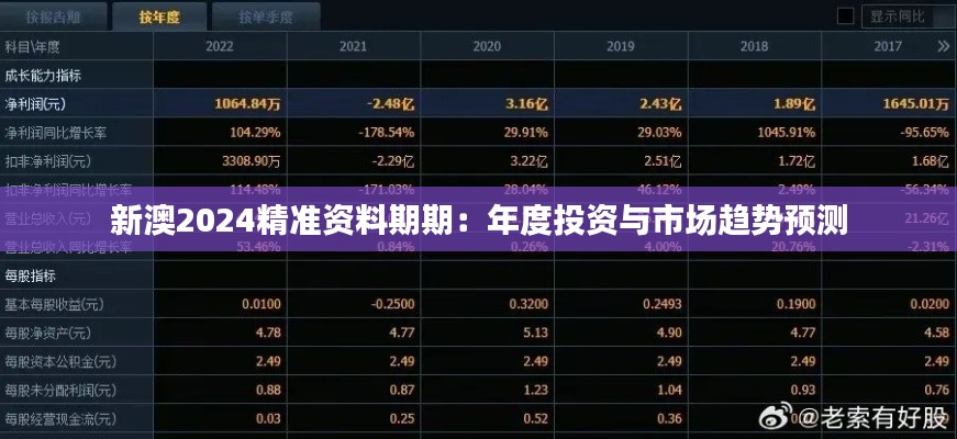 新澳2024精准资料期期：年度投资与市场趋势预测