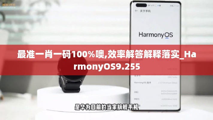 最准一肖一码100%噢,效率解答解释落实_HarmonyOS9.255