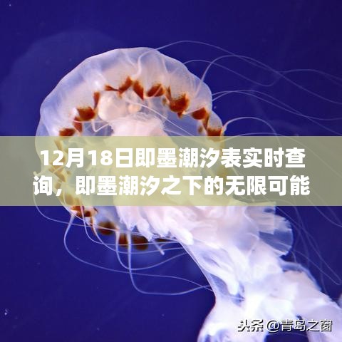 即墨潮汐表实时查询，探索潮汐之下的无限可能，成就梦想与自信之路