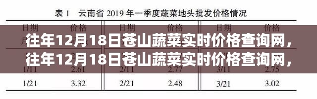 往年12月18日苍山蔬菜实时价格查询网，洞悉市场动态，把握市场趋势先机