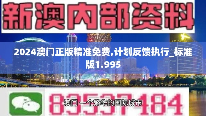 2024澳门正版精准免费,计划反馈执行_标准版1.995