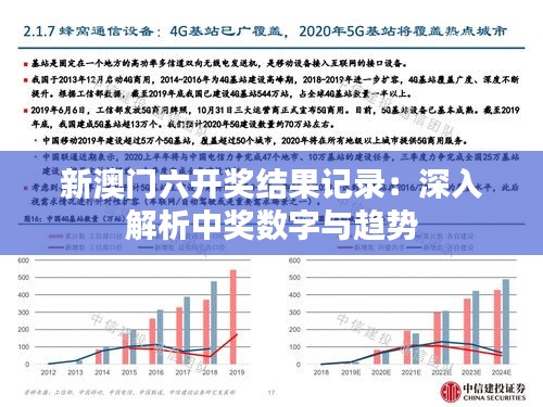 2024年12月19日 第7页