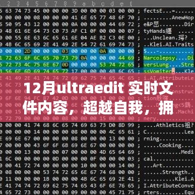 超越自我，拥抱变化，十二月UltraEdit实时文件内容的励志探索之旅