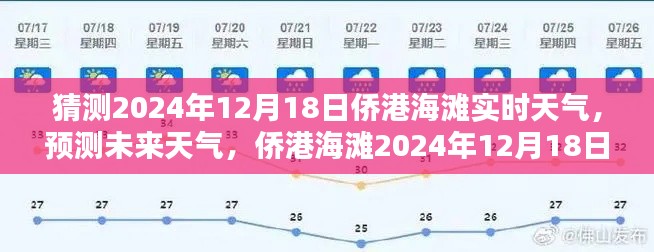 2024年12月20日 第7页