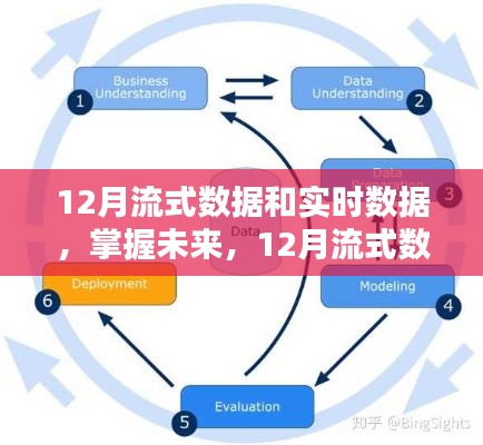 掌握未来数据处理秘诀，12月流式数据与实时处理详解