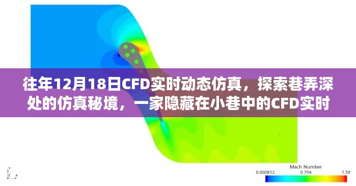 探索巷弄深处的CFD实时动态仿真秘境，隐藏在小巷中的仿真秘境小店