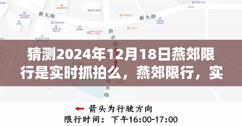 2024年12月20日 第5页