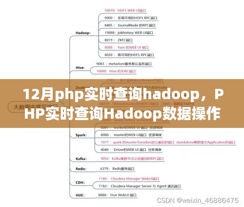 PHP实时查询Hadoop数据操作指南，从入门到进阶的指南