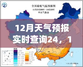 2024年12月21日 第20页