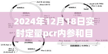 实时定量PCR内参与目的基因深度解析及评测报告