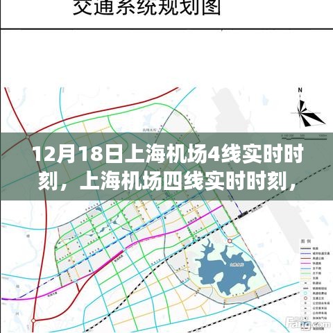 上海机场四线实时时刻深度测评与用户体验报告，最新实时时刻解析，机场交通出行无忧体验！