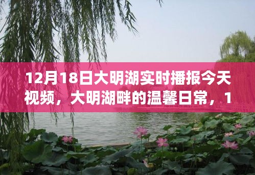 大明湖畔的温馨日常，12月18日的快乐时光实时播报视频