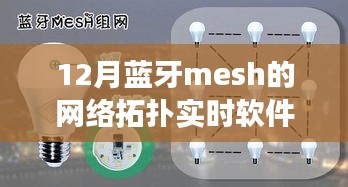 探秘蓝牙Mesh网络魔法屋，实时软件展示盛宴，揭秘小巷深处的科技魅力