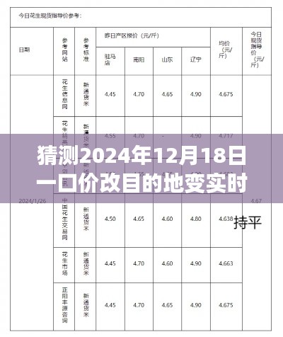 揭秘2024年12月18日一口价变目的地实时单的流程与技巧，逐步指南及预测分析