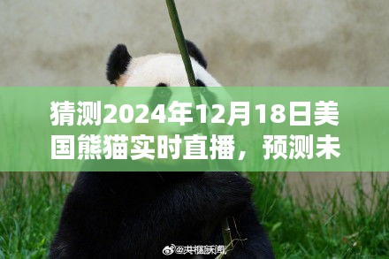 2024年12月18日美国熊猫实时直播，展望未来的无限可能