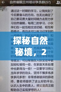 探秘自然秘境，启程寻找内心的宁静——实时归档指南（2024年12月18日）