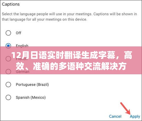 多语种交流解决方案，高效准确的日语实时翻译字幕服务