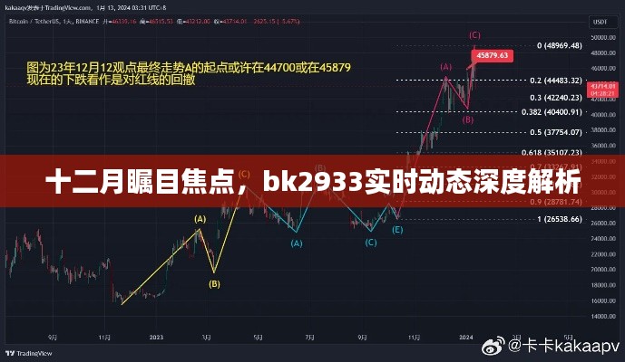 十二月瞩目焦点，bk2933实时动态全面深度解析