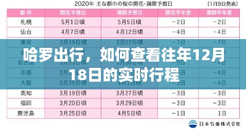 哈罗出行往年12月18日实时行程查询指南