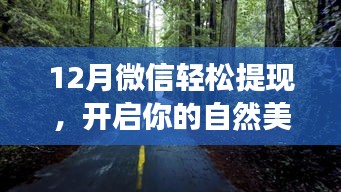 微信轻松提现助力开启自然美景探索之旅