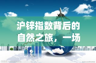 2024年12月22日 第8页