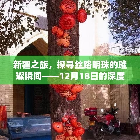 新疆深度游，探寻丝路明珠璀璨瞬间，12月18日的丝路体验之旅