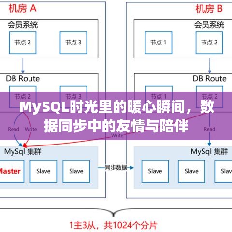 MySQL时光中的暖心瞬间，数据同步见证友情与陪伴