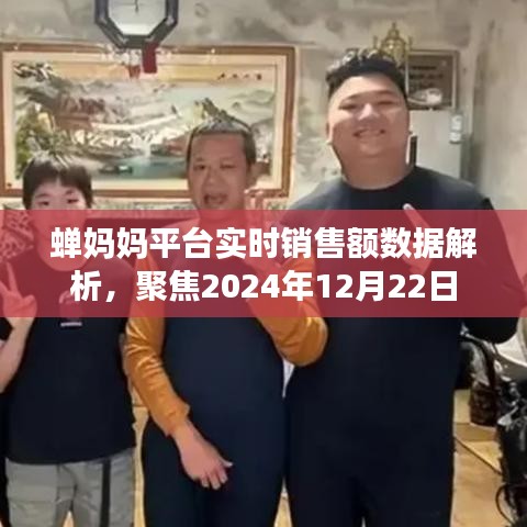 蝉妈妈平台实时销售额数据深度解析，聚焦未来，展望2024年12月22日销售趋势