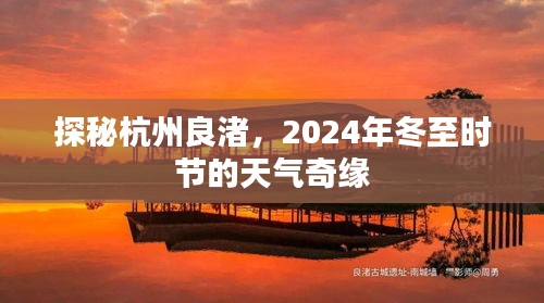 2024年12月23日 第15页