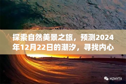 探索自然美景之旅，潮汐预测与心灵寻觅——2024年12月22日之旅