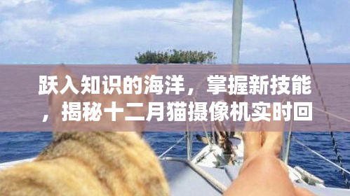 揭秘十二月猫摄像机实时回传，跃入知识海洋，掌握新技能的使用之道