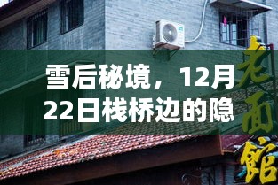 雪后秘境，栈桥边的魔法时光与魔法书店的隐藏故事（12月22日）