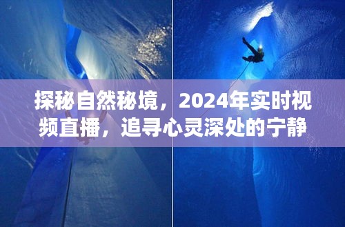 探秘自然秘境，心灵深处的宁静之旅，实时视频直播开启于2024年