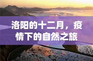 洛阳十二月，疫情下的自然之旅，探寻内心宁静与平和的旅程