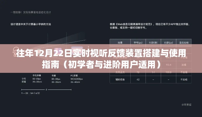 实时视听反馈装置搭建与使用指南，适合初学者与进阶用户的详细教程（12月22日版）