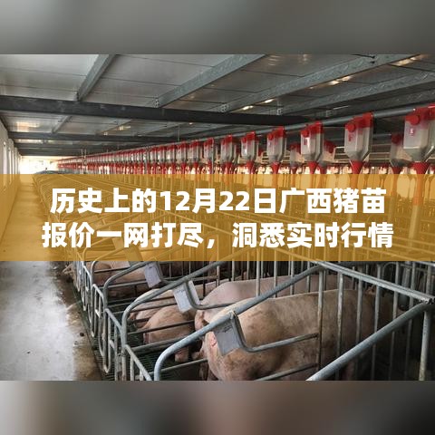 广西猪苗报价实时更新，洞悉历史行情，掌握市场动态