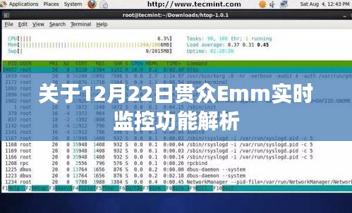 12月22日贯众Emm实时监控功能深度解析