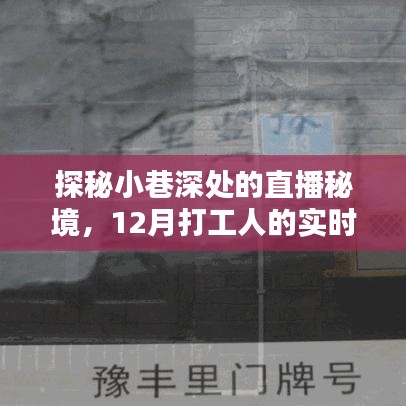 探秘小巷深处的直播秘境，揭秘打工人在冬季的真实生活秀