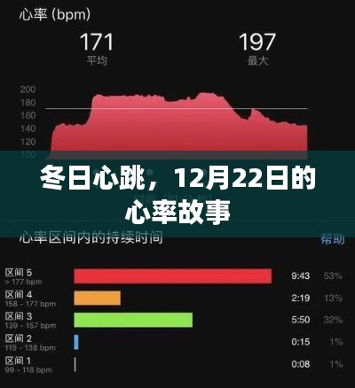 冬日心跳，心率的秘密故事，12月22日的温馨篇章