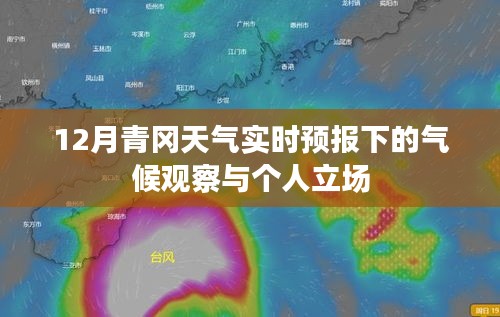 12月青冈天气实时预报下的气候观察与个人视角