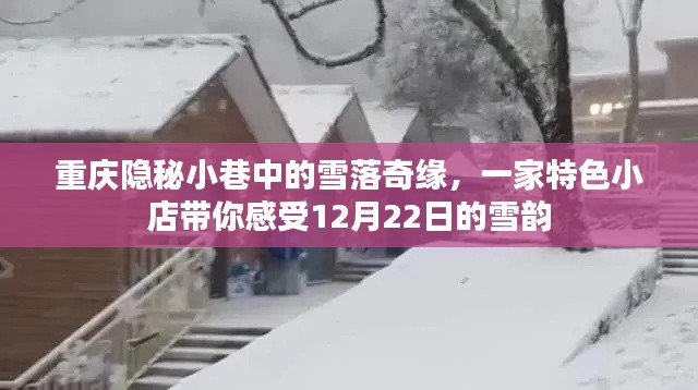 重庆隐秘小巷雪韵奇缘，特色小店带你领略冬至雪韵之美