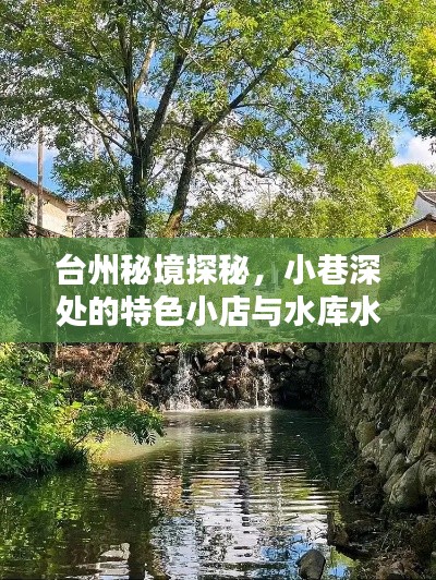 台州秘境探秘，小巷特色小店与水库水情查询之旅