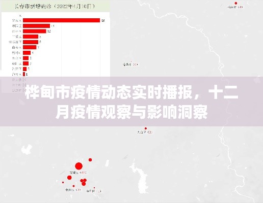 桦甸市疫情实时播报与十二月观察洞察