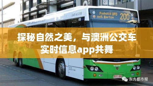 探秘自然之美，澳洲公交车实时信息app体验之旅