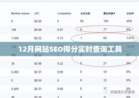 12月网站SEO得分实时查询工具，优化必备