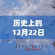 2024年12月26日 第8页