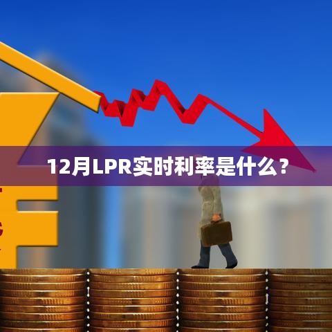 12月LPR实时利率解析